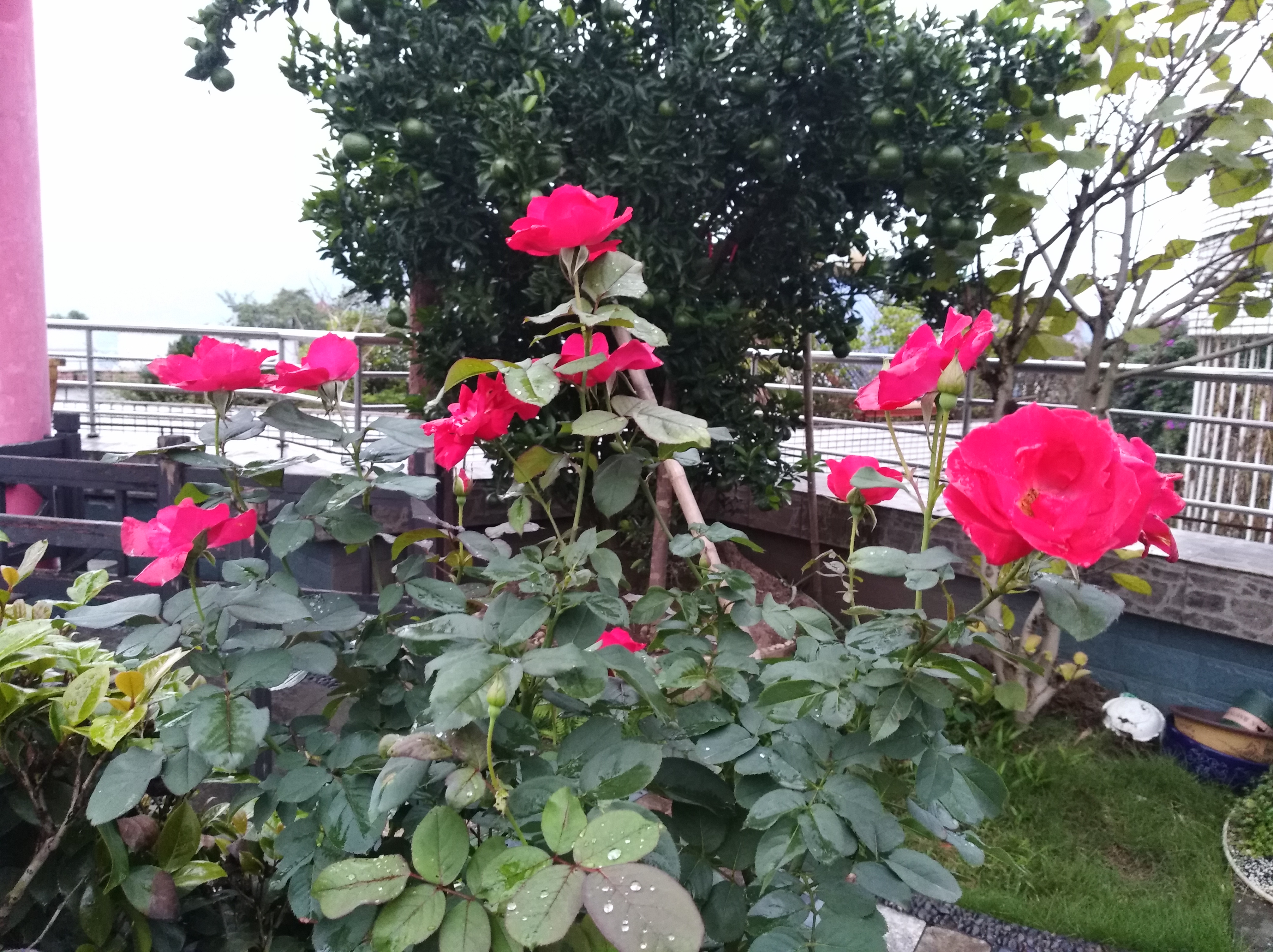 正在完善過程中